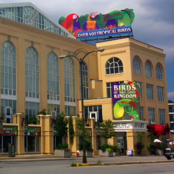 Four (4) Individual Passes for Bird Kingdom in Niagara Falls, Canada - Picture 4 of 5